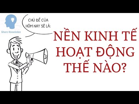 Nền Kinh Tế Vận Hành Như Thế Nào?
