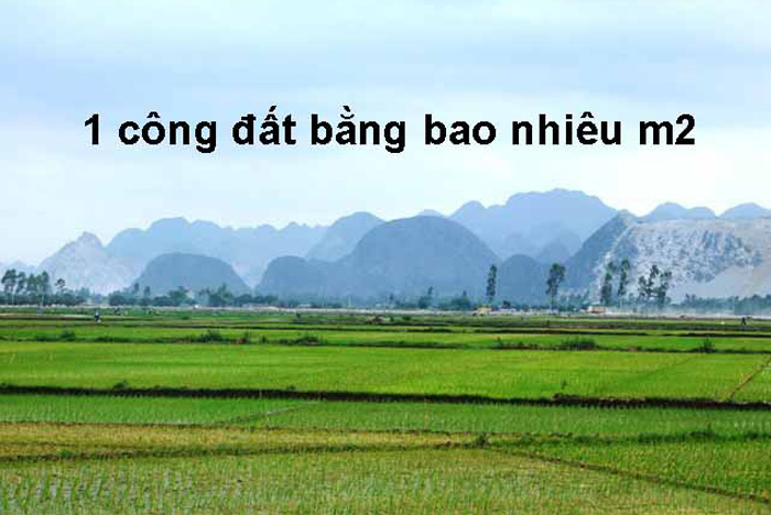 Công đất là gì? 1 công đất bằng bao nhiêu m2, sào, hecta tính theo Nam, Trung, Bắc Bộ?