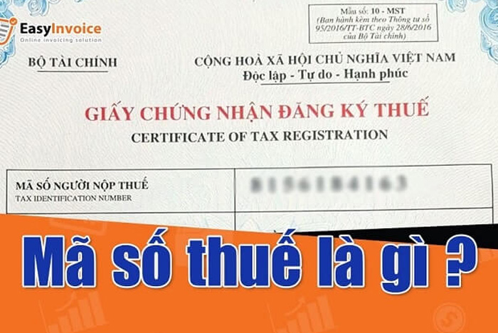 Mã số thuế là gì? Phân biệt mã số thuế Cá nhân và mã số thuế Doanh nghiệp