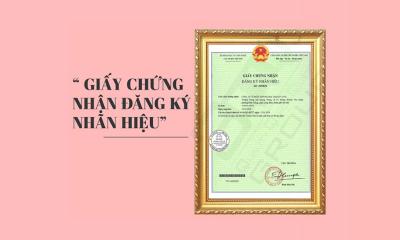 Hướng dẫn doanh nghiệp đăng ký nhãn hiệu độc quyền tại Cục Sở Hữu Trí Tuệ