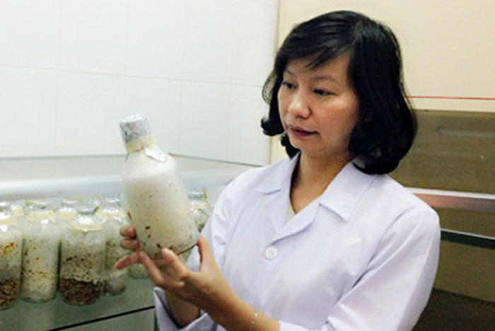 Tiểu sử Trần Thị Thu Hà: Nhà khoa học tràn đầy tâm huyết với cây dược liệu quý ở Việt Nam