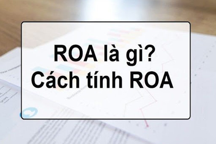 Chỉ số ROA có ý nghĩa gì? Mối quan hệ giữa ROE và ROA