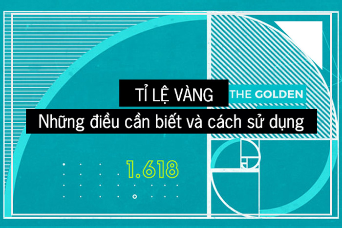 Tỷ lệ vàng ( Fibonacci ) là gì? Ứng dụng của tỷ lệ vàng trong đời sống và tự nhiên
