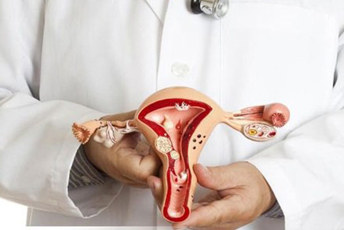 Âm đạo là gì? Các hình dạng môi âm đạo, nguyên nhân khiến âm hộ bị thay đổi