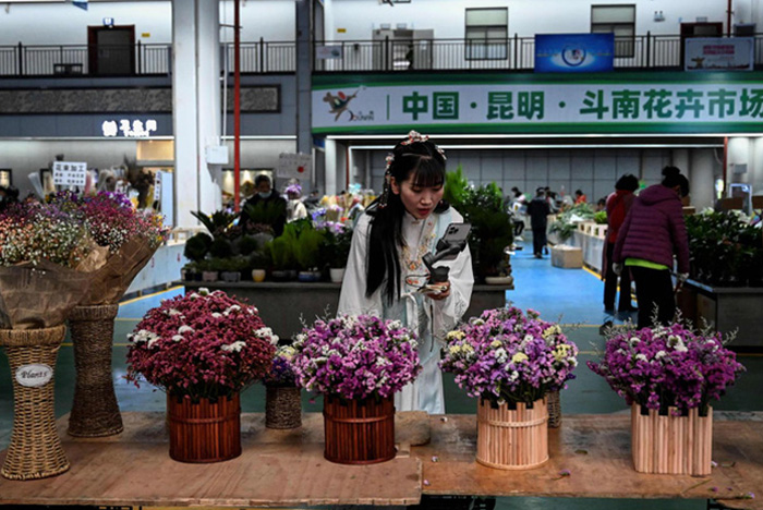 Livestream bán hàng sôi động tại chợ hoa Trung Quốc