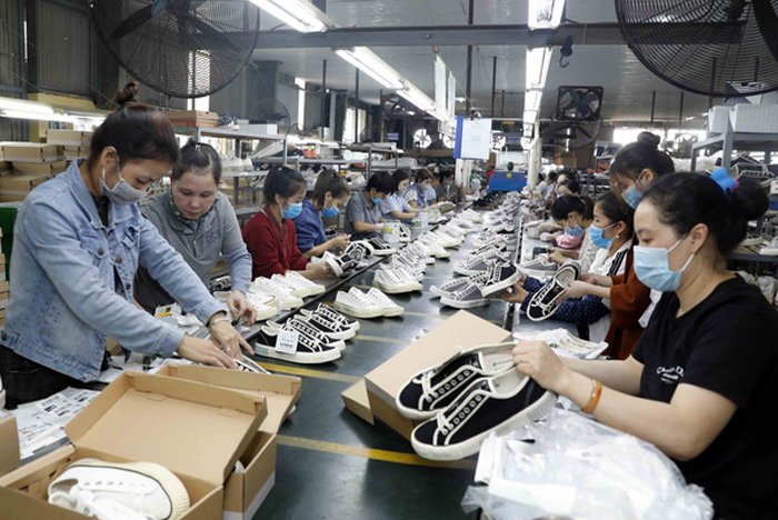 Ngành da giày chủ động nguyên phụ liệu sản xuất
