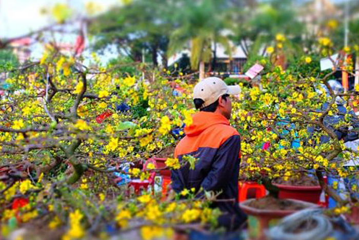 Kinh doanh mùa Tết