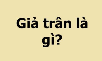 Giả Trân là gì? Tại sao thuật ngữ này được nhiều bạn trẻ dùng trên Facebook?