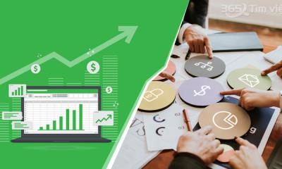 Năm 2021, Mức Lương Ngành Tài Chính Kế Toán Tại Việt Nam Là Bao Nhiêu?