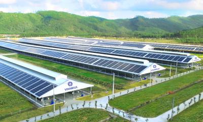 Vinamilk đầu tư hệ thống điện mặt trời tại 12 trang trại, đẩy mạnh năng lượng bền vững