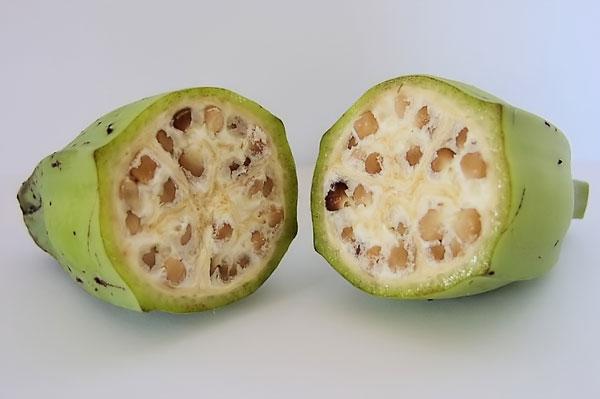 3 công dụng của nước Chuối hột đối với sức khỏe bạn nên biết