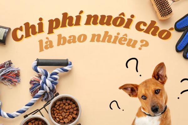 5+ Chi phí nuôi chó nhất định bạn phải biết!