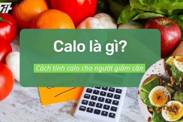 Calo là gì? Cách tính lượng calo cần nạp hàng ngày chỉ trong vài phút