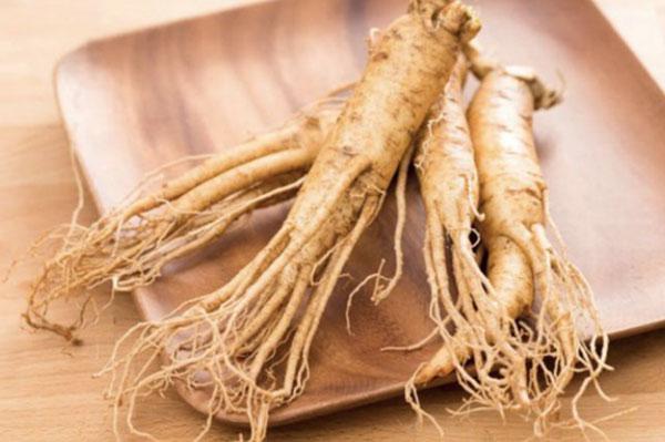 Đẳng sâm là cây gì? Vị thuốc quý cho sức khỏe