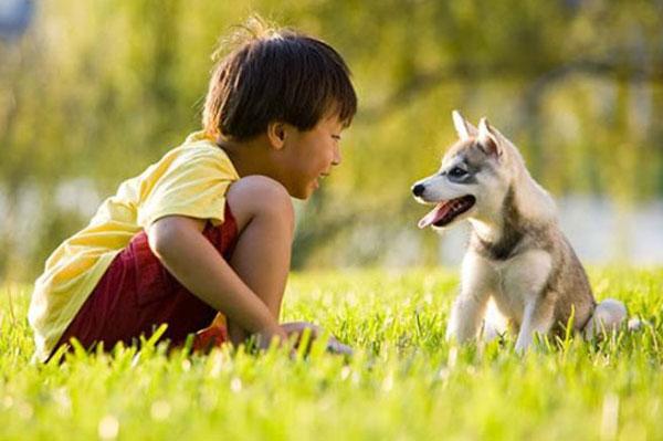 Điểm danh 13 lợi ích khi nuôi thú cưng đối với trẻ nhỏ
