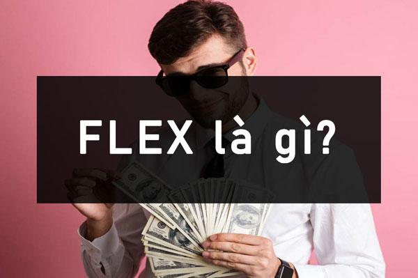 Flex là gì? Ví dụ về Flex trên mạng xã hội