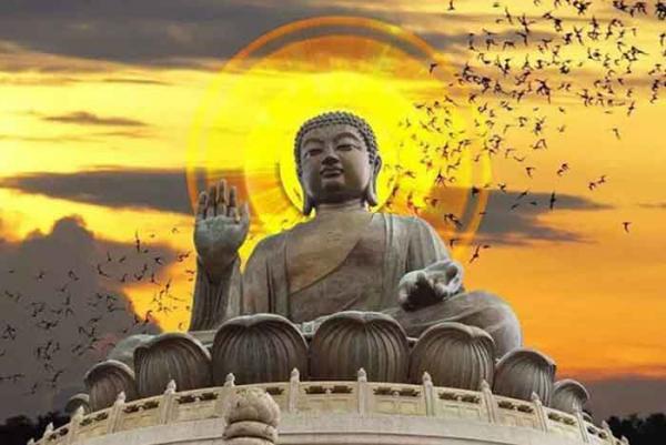 Khám phá ý nghĩa của Quả báo theo quan niệm Đạo Phật
