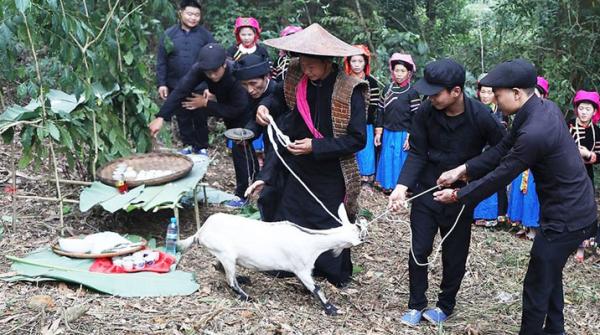 Lễ cúng Thần Rừng: Nét văn hóa độc đáo của người Pu Péo