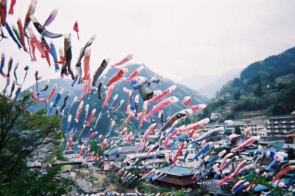 Lễ hội cá chép Koinobori Matsuri, nền văn hóa độc đáo tại Nhật Bản