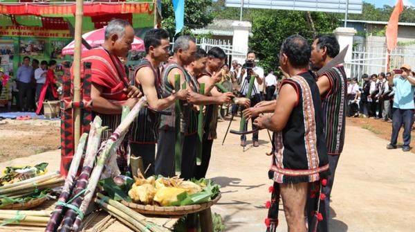 Lễ hội kết bạn cộng đồng: Nét sinh hoạt độc đáo của người Mnông