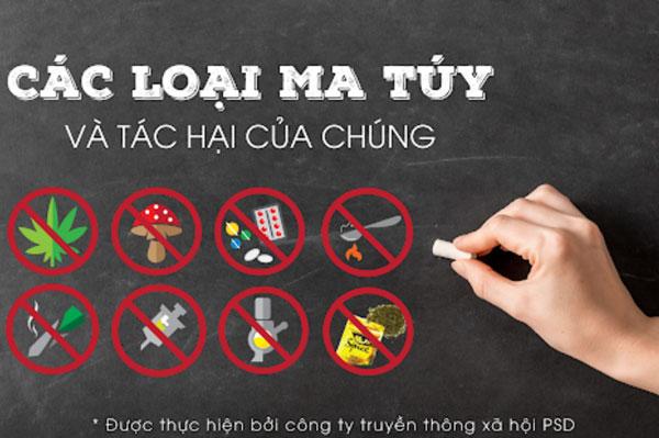 Ma Túy Là Gì 13 Loại Gây Hậu Quả Nghiêm Trọng Nhất 7152