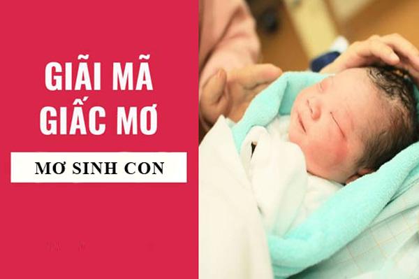 Mơ sinh con báo hiệu điều gì? Điềm lành hay điểm dữ