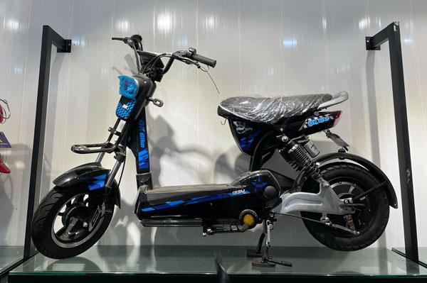 Muôn vàn loại xe điện, làm sao để chọn được chiếc xe tốt?