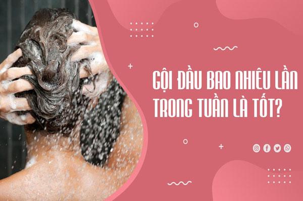 Nên gội đầu bao nhiêu lần trong một tuần là hợp lý?