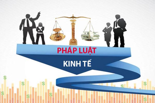 Ngành luật kinh tế: Những điều bạn cần biết