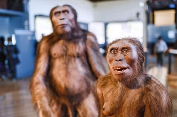 Nguồn gốc của loài Người: Bí ẩn chưa có lời giải đáp