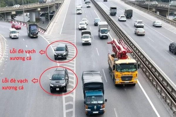 Những điều bạn cần biết về vạch xương cá