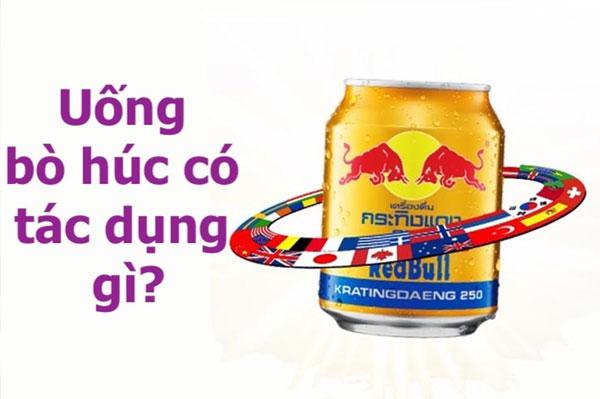 Những tác dụng khi uống bò húc bạn nên biết