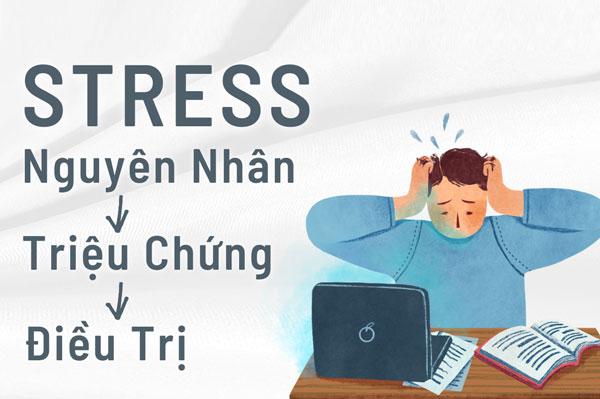 Stress là gì? Tìm hiểu nguyên nhân và phương pháp điều trị stress