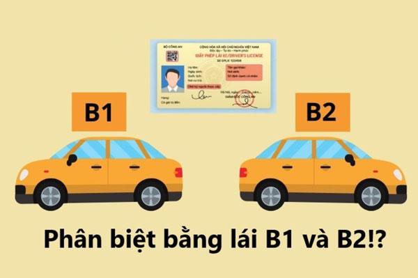 Sự khác biệt giữa bằng lái xe hạng B1 và B2 bạn cần biết