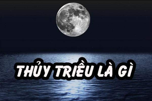 Thủy triều là gì? Một số ứng dụng của nó trong đời sống và xã hội
