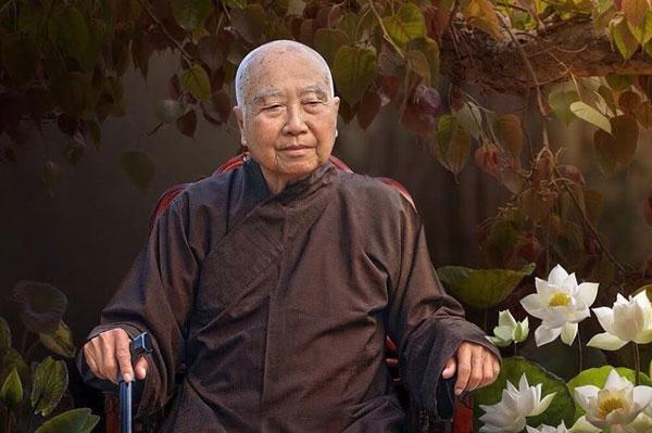 Tiểu sử Thích Thanh Từ: Người phục hưng dòng thiền Trúc Lâm Yên Tử