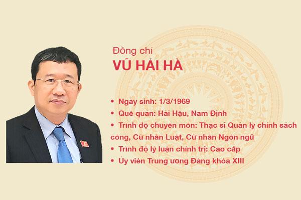 Tìm  hiểu tiểu sử, quá trình công tác của Vũ Hải Hà