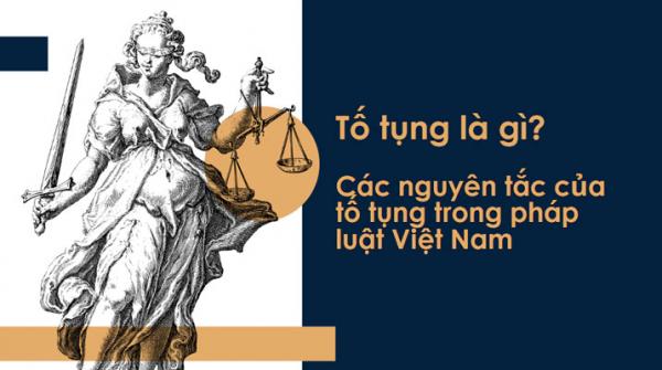 Tố tụng là gì? Nguyên tắc & phân loại trong pháp luật