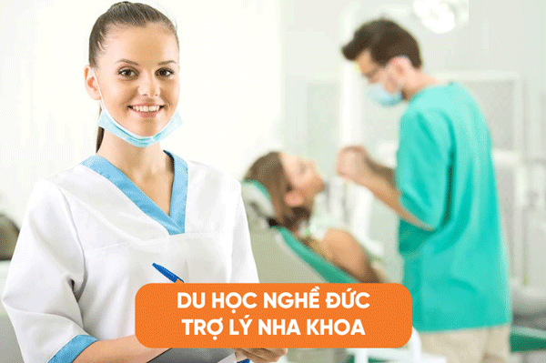 Tuyển du học sinh nghề ngành trợ lý nha khoa tại công hòa liên bang Đức