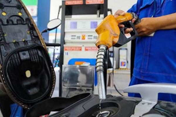 Xe tay ga đắt tiền nên dùng xăng A95 đúng không?