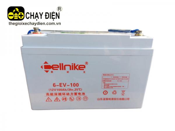 ẮC QUY XE ĐIỆN CELLNIKE 6-EVF-100A 12V 100AH