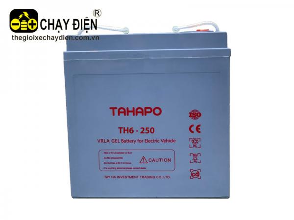 ẮC QUY XE ĐIỆN TAHAPO TH6-250 (6V – 250AH)