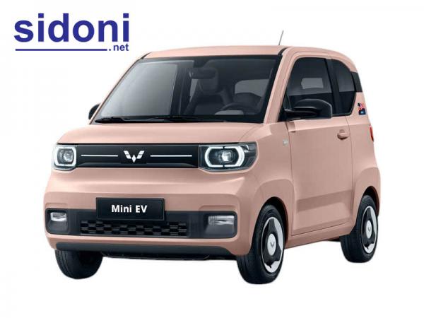 Ô TÔ ĐIỆN WULING MINI EV LV2 - 120 HỒNG CÁNH SEN