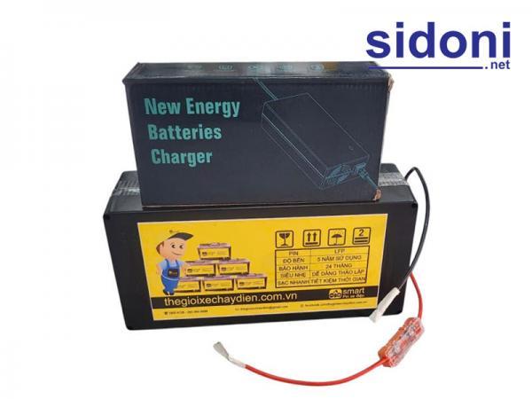 Pin LFP xe điện Smart 48V 15Ah