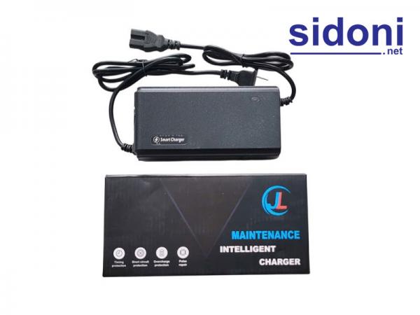 Sạc xe điện Smart V1 Pro 48V 20Ah