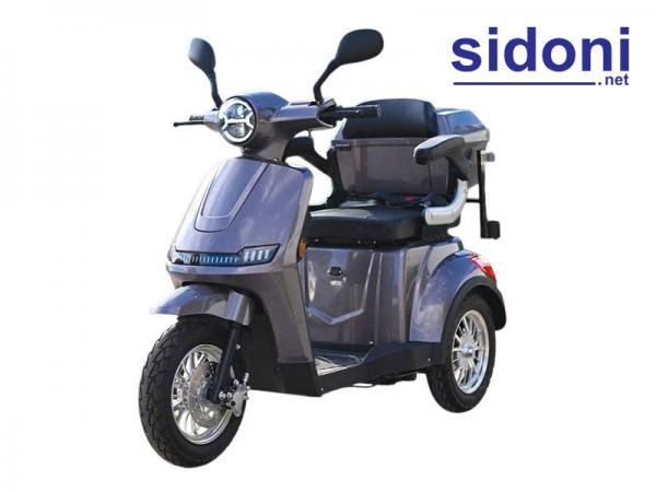 Xe 3 bánh điện FJ