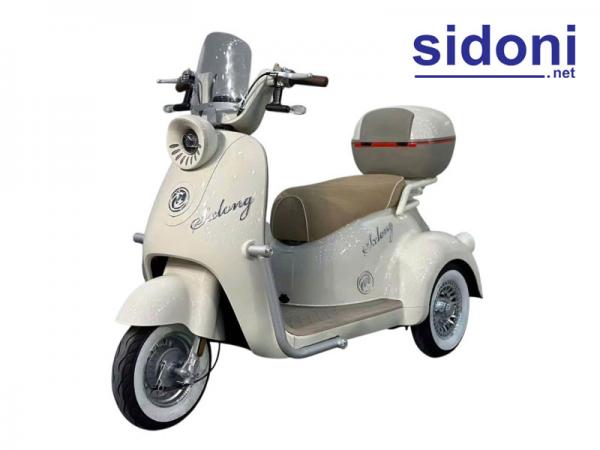 Xe 3 bánh Smart ST