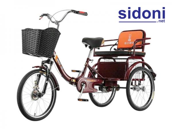 Xe đạp 3 bánh Smart D1 đỏ đô