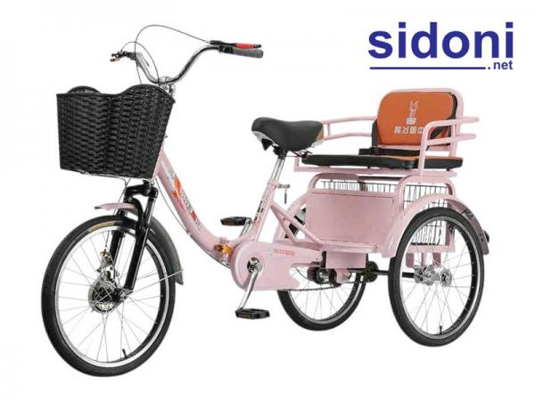 Xe đạp 3 bánh Smart D1 hồng cánh sen