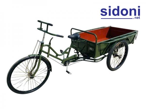 Xe đạp 3 bánh Smart L1